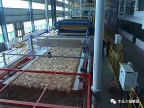 青岛进出口贸易代理，实操经验分享