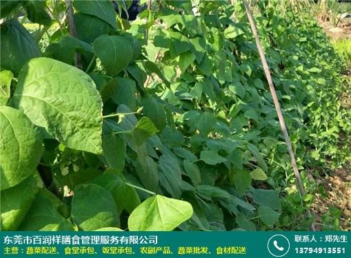 国际进出口贸易网站有哪些：现场见过的几个